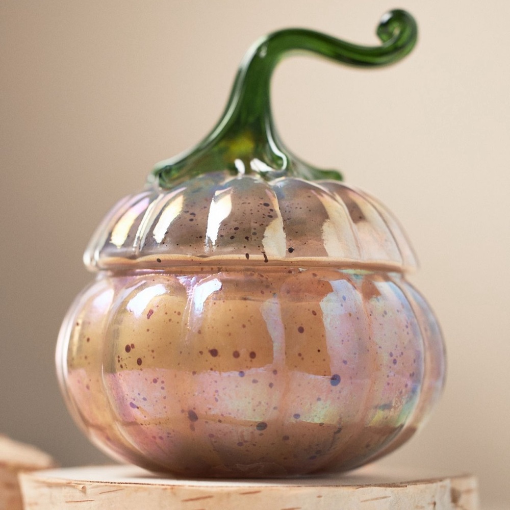 Anthropologie Woody White Birch & Pumpkin Mini Glass Pumpkin Candle - Picture 1 of 2